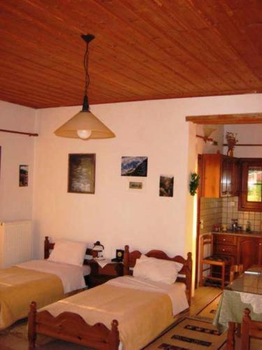 Gerakofolia Rooms To Let Конитса Экстерьер фото